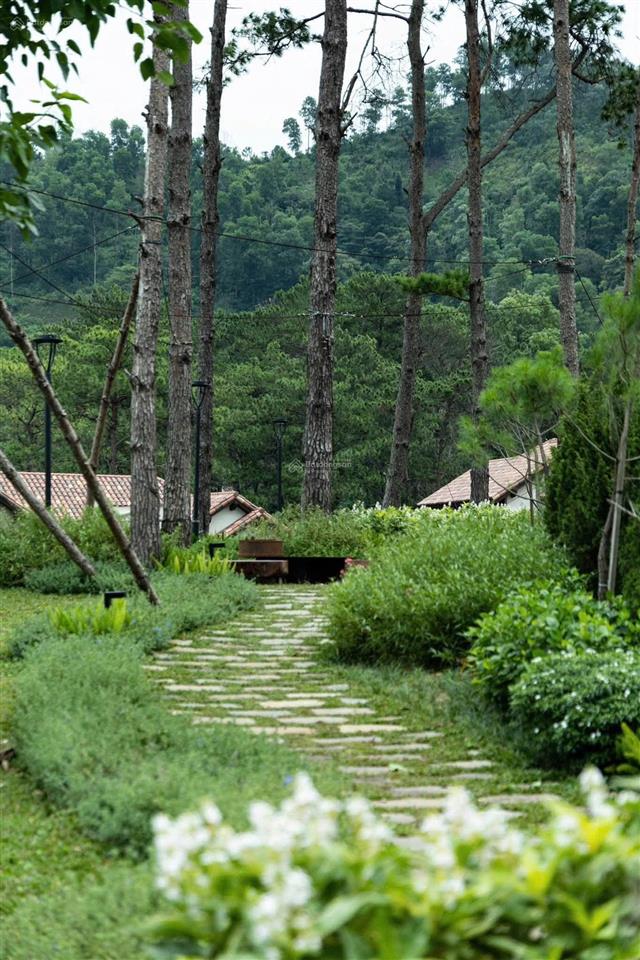 Bán biệt thự sping reshidences, view hồ thiên thanh, đối diện intercon thanh xuân, 97m, 11.7tỷ
