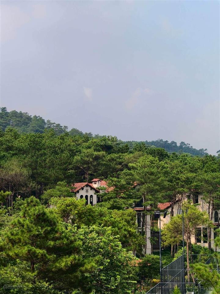 Bán biệt thự sping reshidences, view hồ thiên thanh, đối diện intercon thanh xuân, 97m, 11.7tỷ