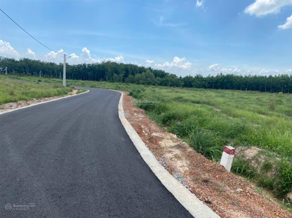 Bán đất tại đt 704, minh thạnh, dầu tiếng, 1,56 tỷ, 184 m2