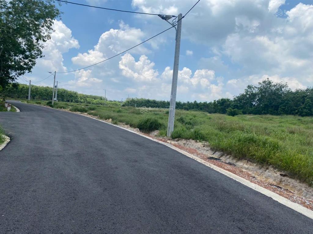 Bán đất tại đt 704, minh thạnh, dầu tiếng, 1,56 tỷ, 184 m2