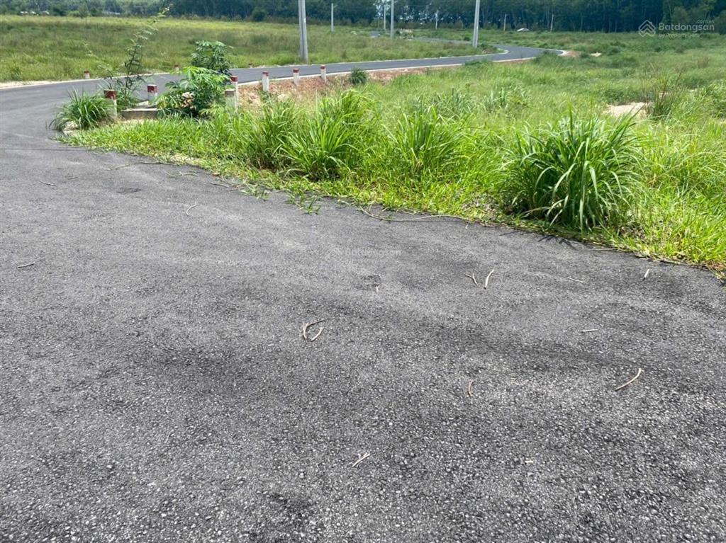 Bán đất tại đt 704, minh thạnh, dầu tiếng, 1,56 tỷ, 184 m2