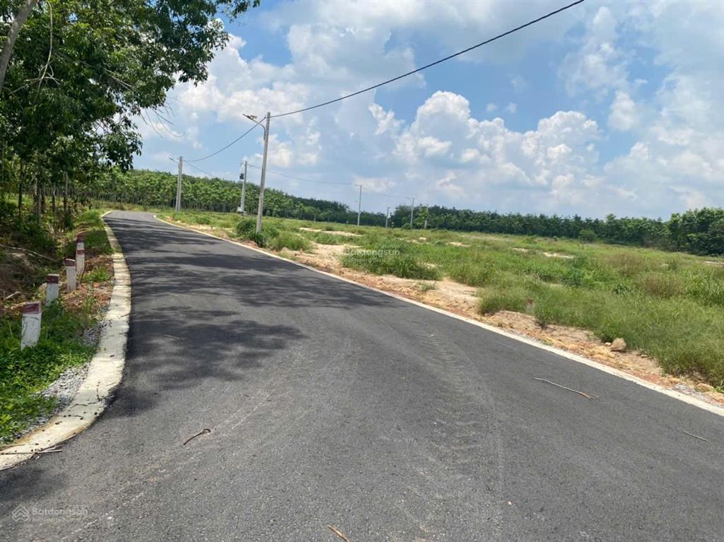 Bán đất tại đt 704, minh thạnh, dầu tiếng, 1,56 tỷ, 184 m2