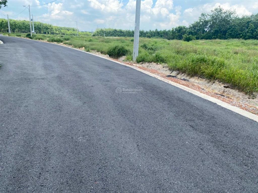 Bán đất tại đt 704, minh thạnh, dầu tiếng, 1,56 tỷ, 184 m2