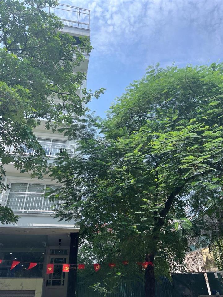 Hạ sốc 20 tỷ! lô mặt phố trần đại nghĩa 275m2, mt 9.5m, hơn 60 tỷ  xây building tuyệt vời