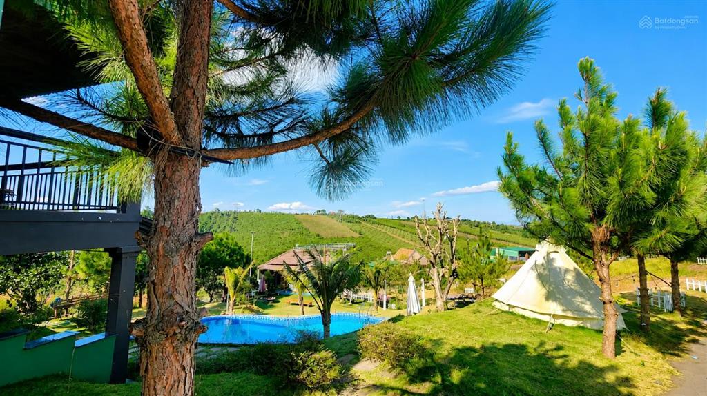Bán đất nền nghỉ dưỡng homestay lộc quảng hill  161m2 giá 1,1 tỷ, sang tên ngay, sổ sẵn