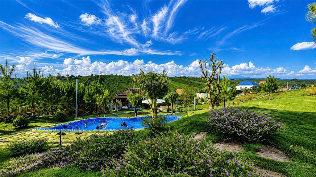 Bán đất nền nghỉ dưỡng homestay lộc quảng hill  161m2 giá 1,1 tỷ, sang tên ngay, sổ sẵn