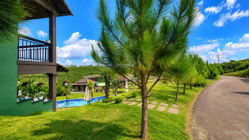Bán đất nền nghỉ dưỡng homestay lộc quảng hill  161m2 giá 1,1 tỷ, sang tên ngay, sổ sẵn