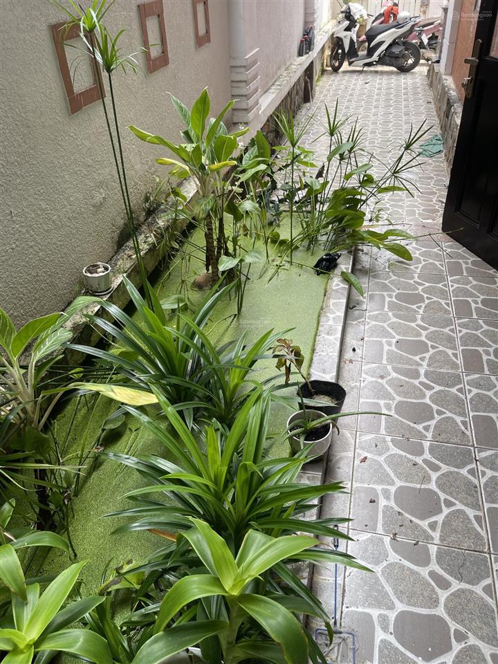 Cho thuê nhà khu đô thị apak, quận 2. dt 10x20m 3 tầng.