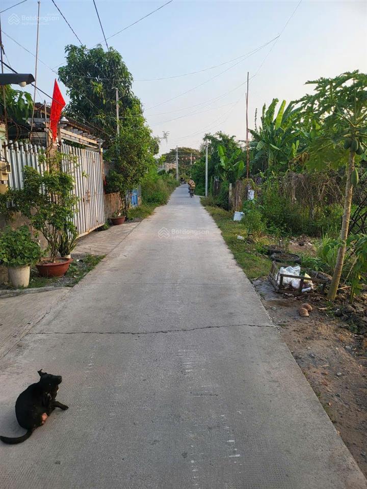Chính chủ bán lô đất 300m2 ngay chợ bình chánh