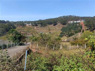 Đất biệt thự đường nhựa măng lin  p7  đà lạt, sổ riêng xây dựng, view đồi thông, giá 3.8tỷ