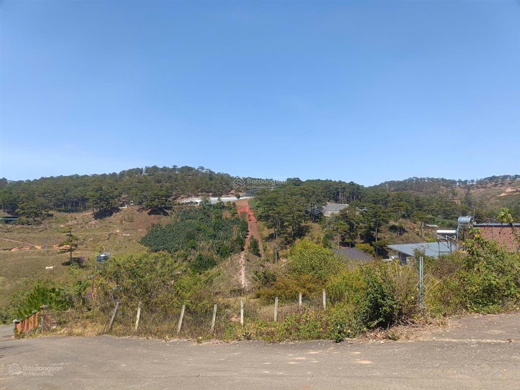 Đất biệt thự đường măng lin  phường 7  tp. đà lạt, sổ riêng xây dựng, view đồi thông, giá 3.5 tỷ
