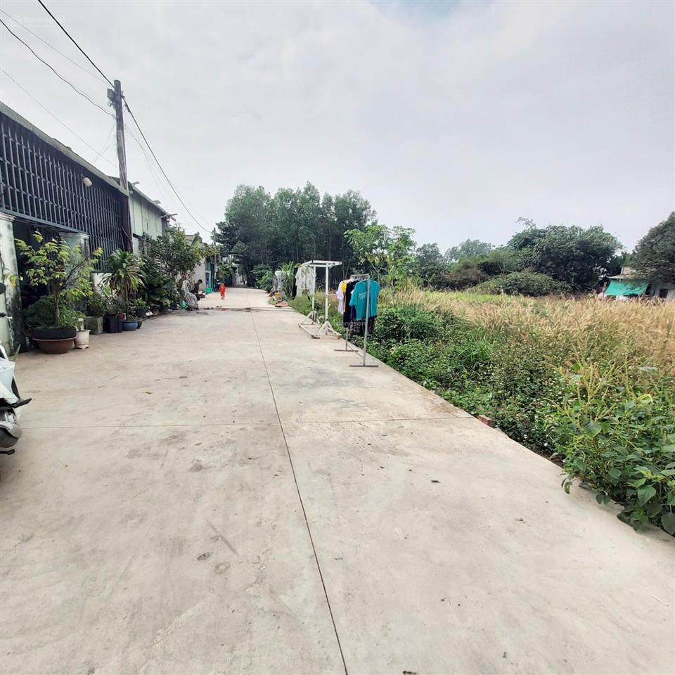 Đất nền sân bay quốc tế long thành