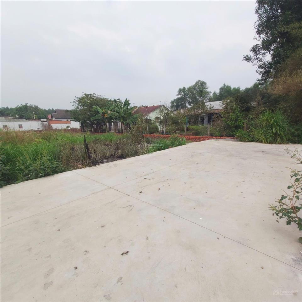 Đất nền sân bay quốc tế long thành