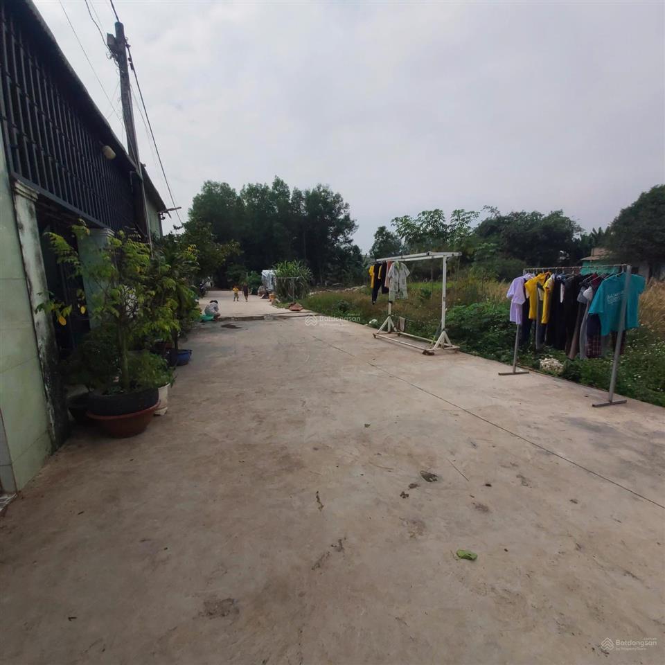 Đất nền sân bay quốc tế long thành