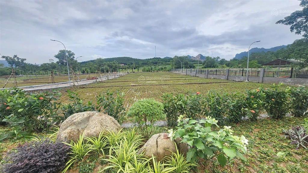 Bán lô đất xây biệt thự nghỉ dưỡng hoặc kinh doanh cho thuê 92m2 tại lạc thuỷ, hoà bình