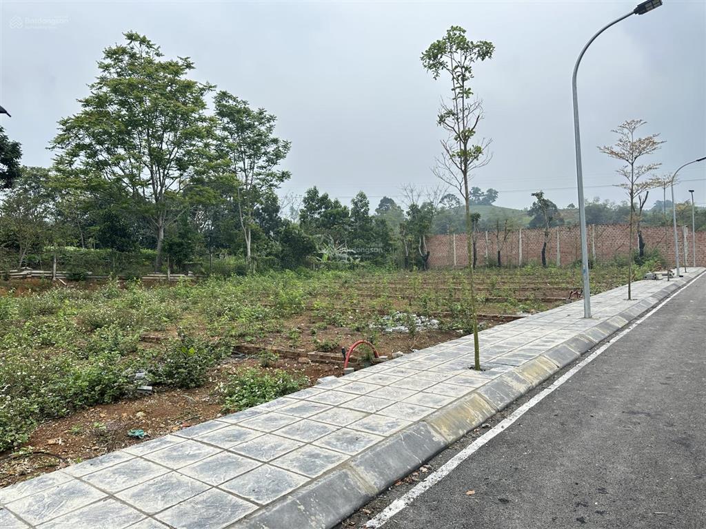 Đất phân lô lâm hóa, lạc sơn, hoà bình 130m2 chỉ 600 triệu sát kcn tân phong 495ha, cách ql21b 10m