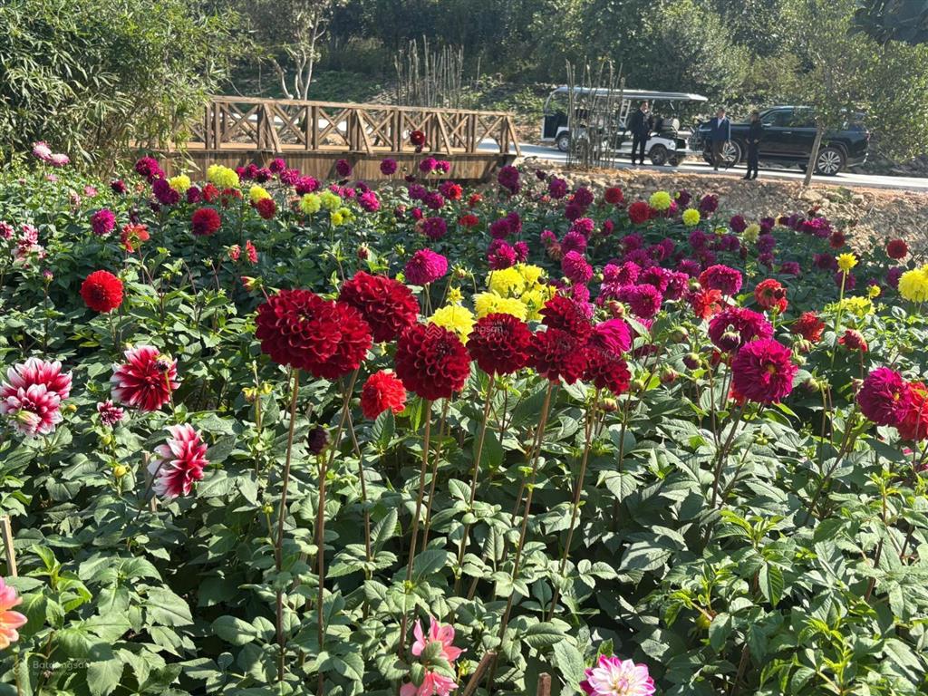 Thừa nhà cần bán nhanh suất ngoại giao của bác làm nhà nước  thanh xuân valley vĩnh phúc lakeside