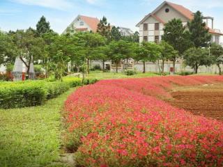 Chỉ 75tr/m2 chủ nhà rất thiện chí bán căn 400m cạnh căn góc,cách 20m ra kênh điều hoà.