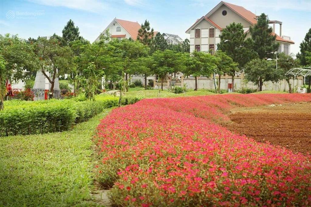 Hiếm quá! căn 400m2 đã có sổ đỏ, đã hoàn thiện giá chỉ 41 tỷ. diện tích sử dụng 900m2