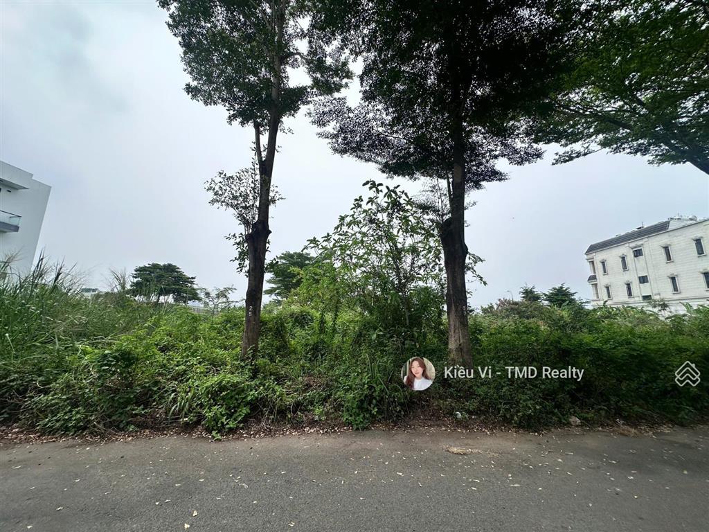 Bán đất nền btsl 8x20m da thời báo kinh tế đường bưng ông thoàn quận 9, sđcn giá 60tr/m2 rẻ da