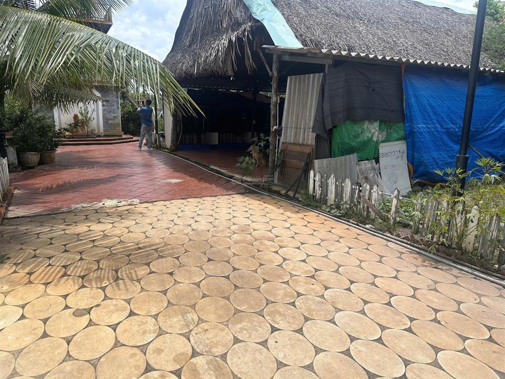 Bán đất nhà vườn phú an bến cát 3050m², gần chợ, có nhà + vườn + ao, chỉ 5,4 triệu/m²