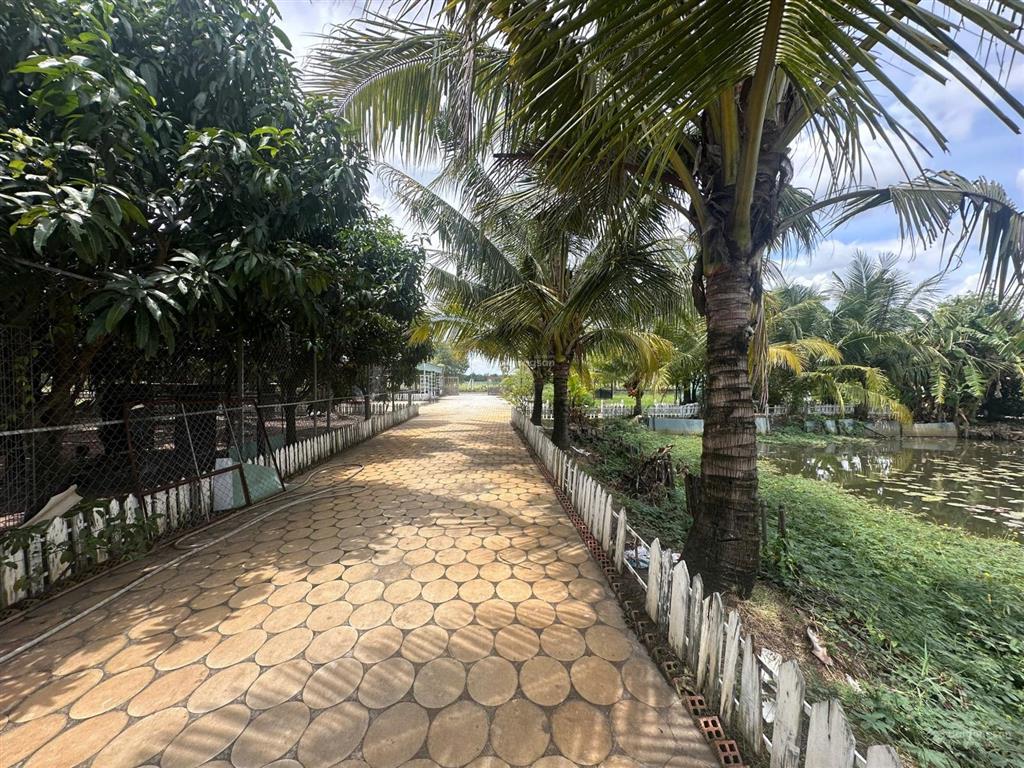 Bán đất nhà vườn phú an bến cát 3050m², gần chợ, có nhà + vườn + ao, chỉ 5,4 triệu/m²