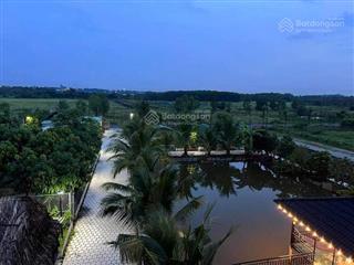 Bán đất nhà vườn phú an bến cát 3050m², gần chợ, có nhà + vườn + ao, chỉ 5,4 triệu/m²