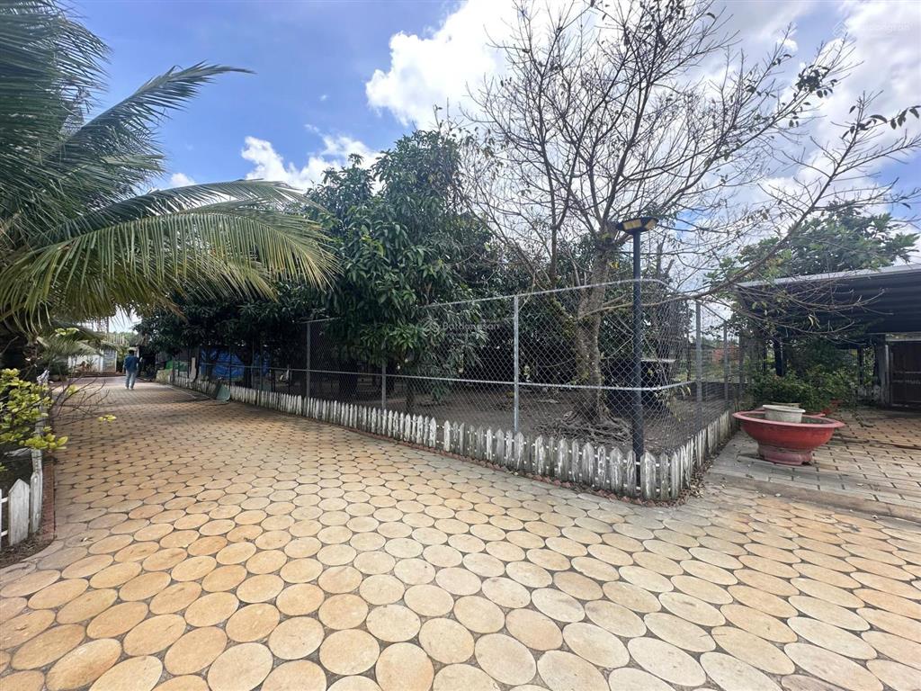 Bán đất nhà vườn phú an bến cát 3050m², gần chợ, có nhà + vườn + ao, chỉ 5,4 triệu/m²