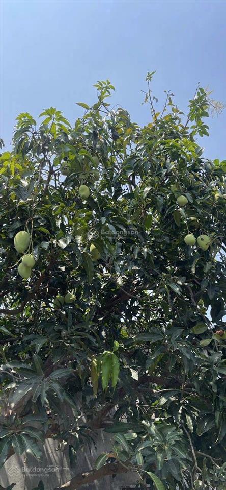 Đất 2.242 m có odt 200m và nhà cấp 4 vị trí đẹp, ngay trung tâm thị trấn củ chi.tp.hcm