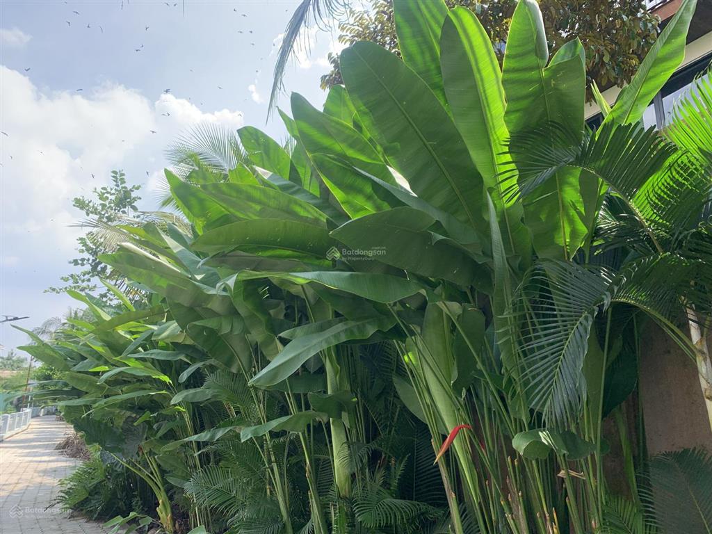 Vip đất đẹp thảo điền kinh doanh sôi động 450m2 c4 ngang 22m mt, đường xe 45 chỗ, 1 sổ, chỉ 84 tỷ