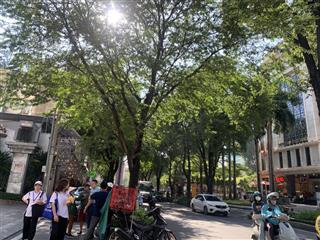 Toà nhà chdv hạng sang pasteur quận 1, dt 172m2 xây 7 tầng, ngang 8.2m, dt 2.2 tỷ/năm, chỉ 48.5 tỷ