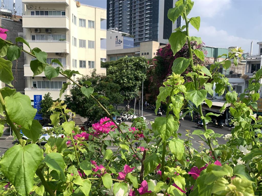 Nhà 6 lầu mặt tiền kinh doanh vip quận 1 saigon 65m2 ngang 4.5m, thang máy, shr, chỉ 28.5 tỷ