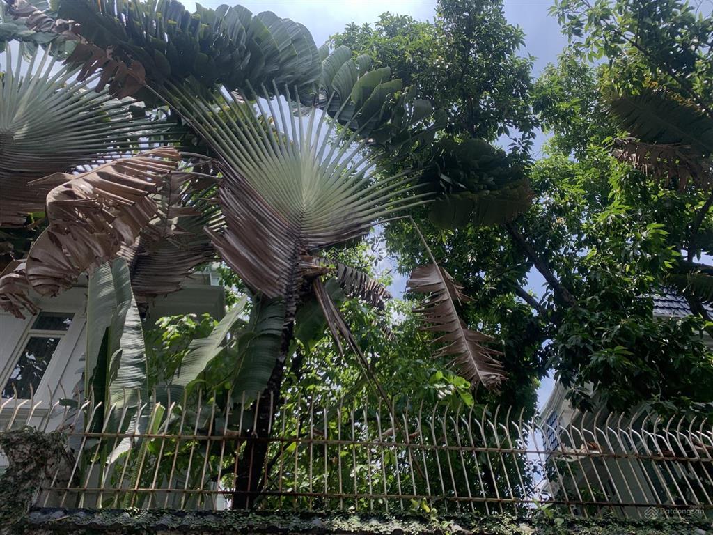 Villa siêu đẹp trần ngọc diện p thảo điền 815m2 ngang 16m xây 3 lầu kdoanh nhà hàng shr giá 310 tỷ