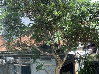 Biệt thự pháp cổ sương nguyệt anh quận 1, dt 45m2 tầng trệt, xe hơi kinh doanh, sổ riêng, chỉ 8 tỷ
