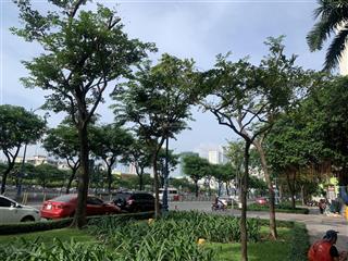 Đất đẹp mặt tiền bến vân đồn view sông kd đỉnh shr dt 135m2 phù hợp khách sạn, office tc 34 tỷ