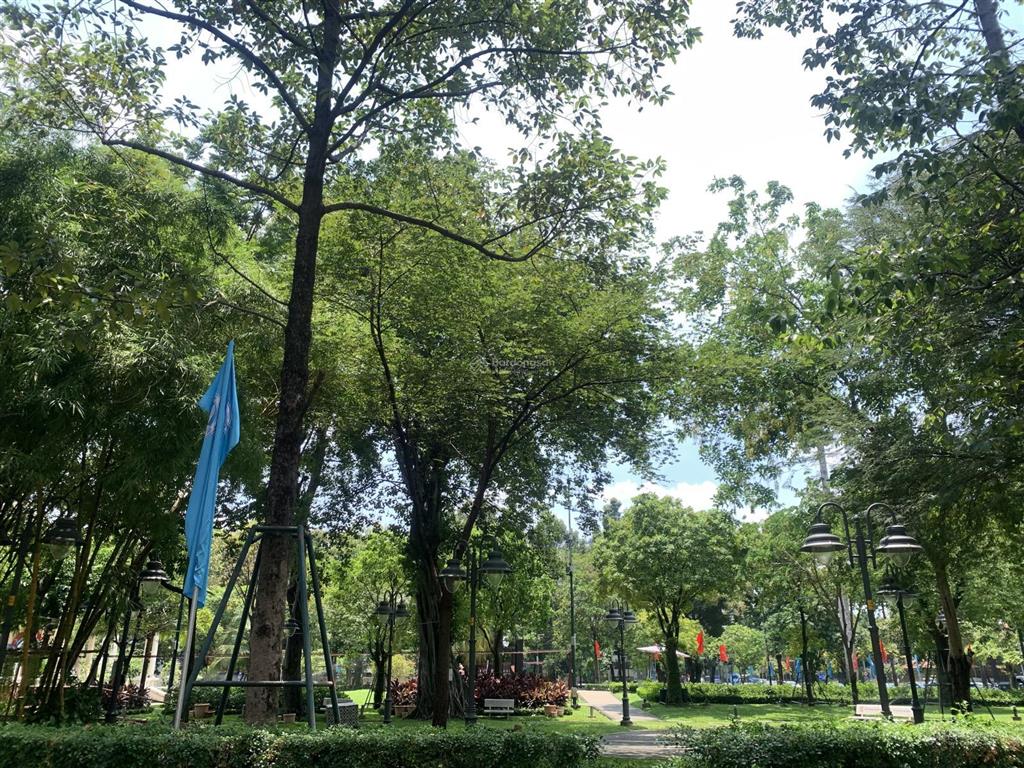 Nhà 5 lầu ban công nguyễn thị minh khai p saigon quận 1 dt 50m2 ngang 4.6m shr 6 pn chỉ 15.5 tỷ