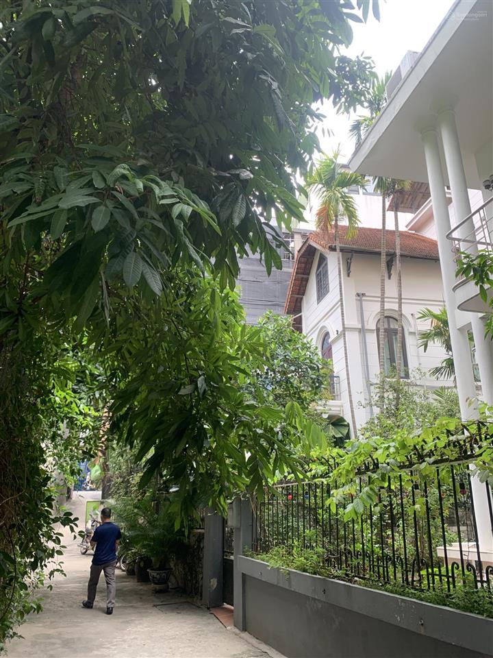 Đất đẹp đường 52 tô ngọc vân tây hồ siêu hiếm xây khách sạn & kinh doanh 38m2 mt 4.2m, chỉ 27,5 tỷ