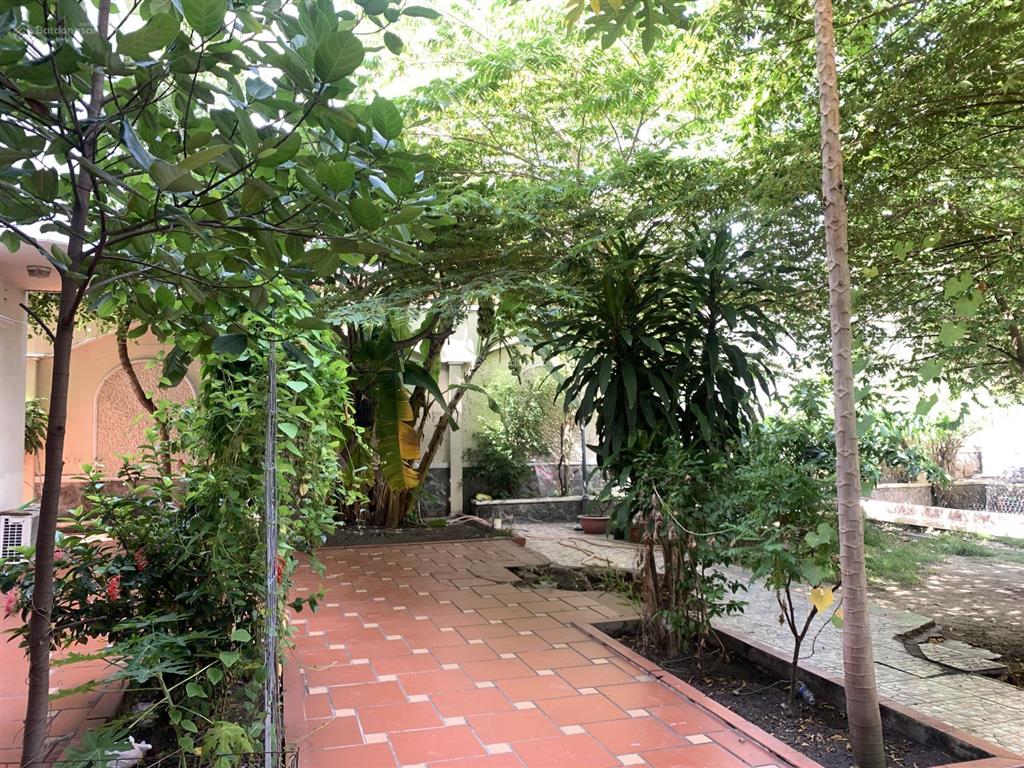 Villa biệt thự lê quý đôn p bình thọ thủ đức dt 716m2 bề ngang 24m đường 12m rộng ở chỉ 72 tỷ