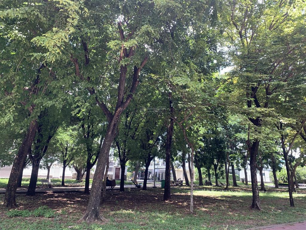 Villa tuyệt đẹp 3 thoáng trần lựu p. an khánh 8x20m kc 4 lầu có hầm thang máy shr 160m2 chỉ 45 tỷ