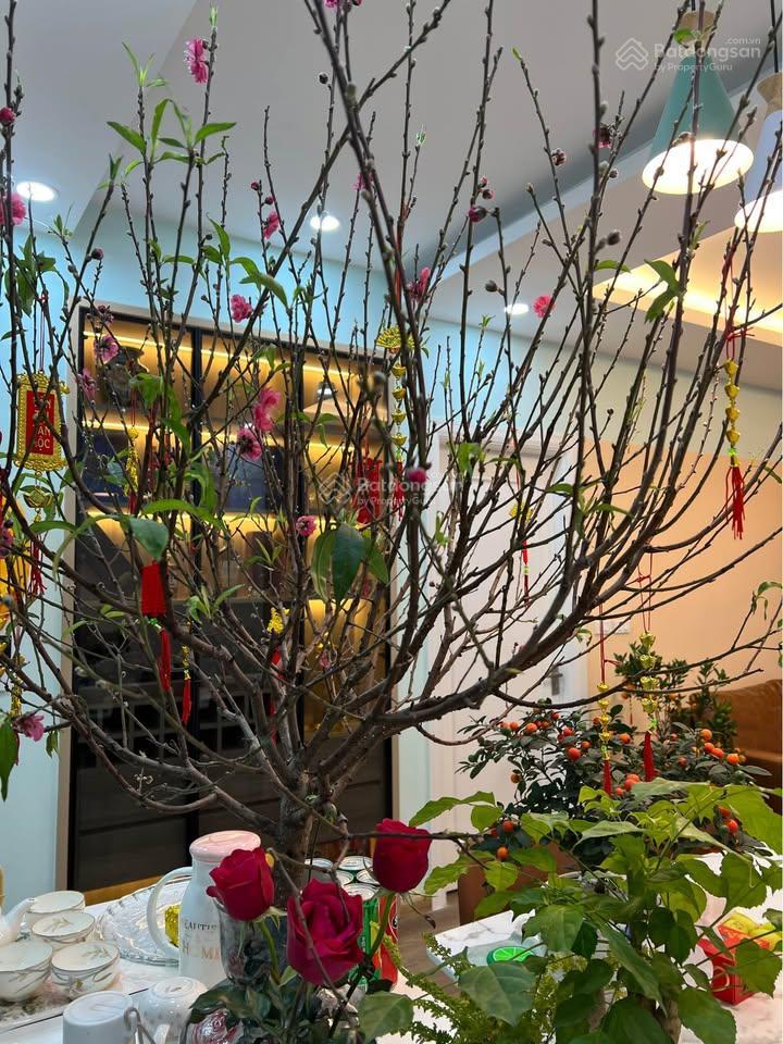 Chính chủ bán căn hộ 62,2m2 riverside garden 349 vũ tông phan 2pn2vs full nội thất, sẵn sổ đỏ