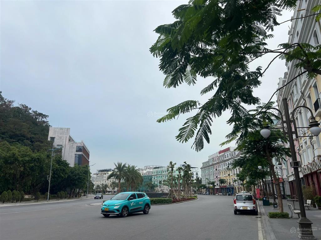 Chủ nhà cắt lỗ thu hồi tiền về trước tết giá 17 tỷ, 112.5m2 mặt đường hạ long