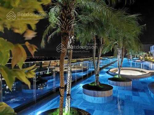 Chính chủ cần cho thuê gấp loạt căn hộ cao cấp giá siêu tốt