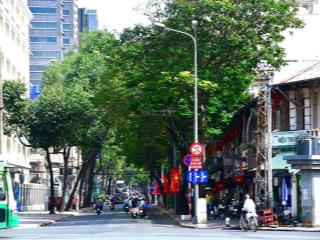 Khuôn đất lớn 230 pasteur, p. võ thị sáu, quận 3, ngang 21x25m  cn 580 m²  giá 160 tỷ