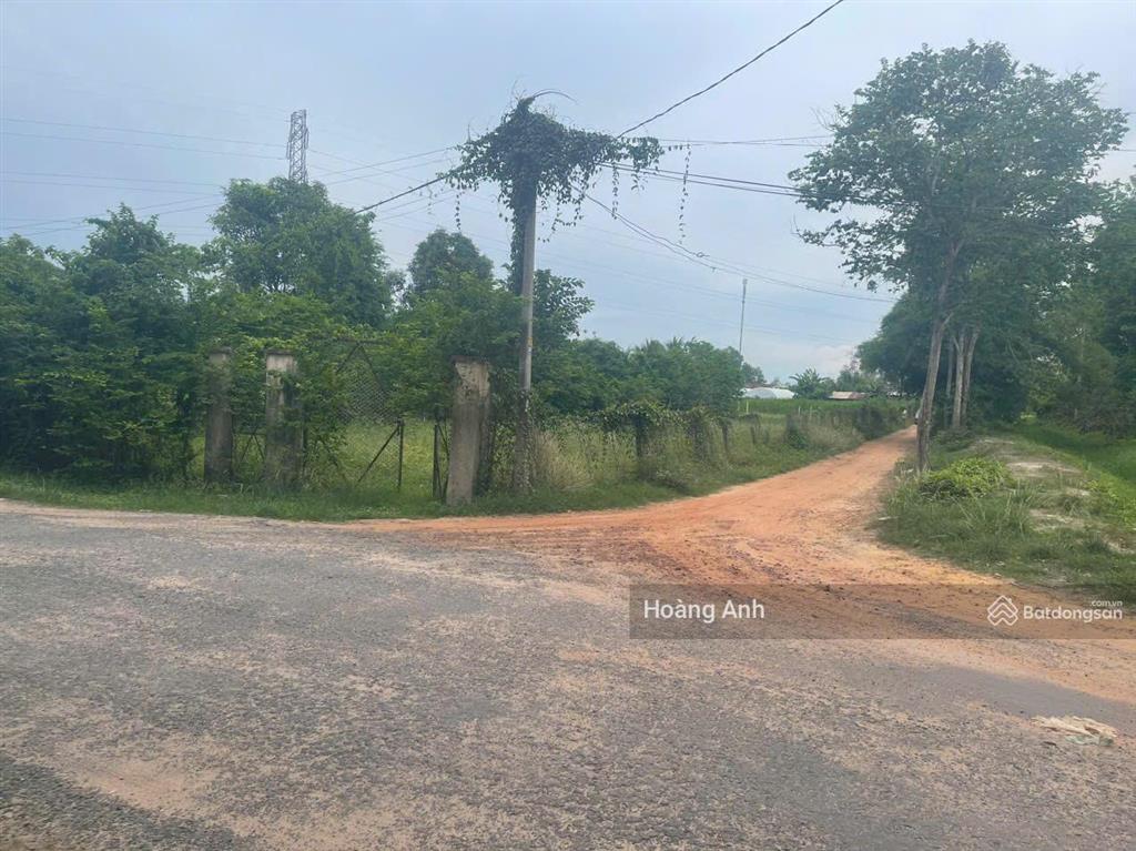 Cần bán lô đất 300m2 full thổ, 550 triệu sát khu công nghiệp trảng bàng