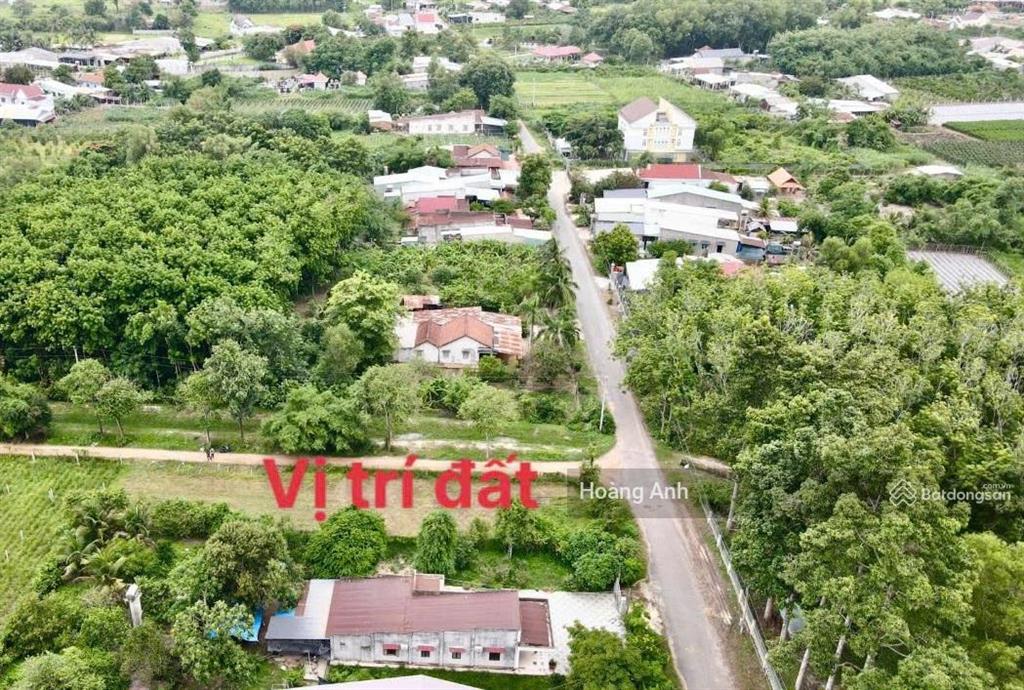 Cần bán lô đất 300m2 full thổ, 550 triệu sát khu công nghiệp trảng bàng