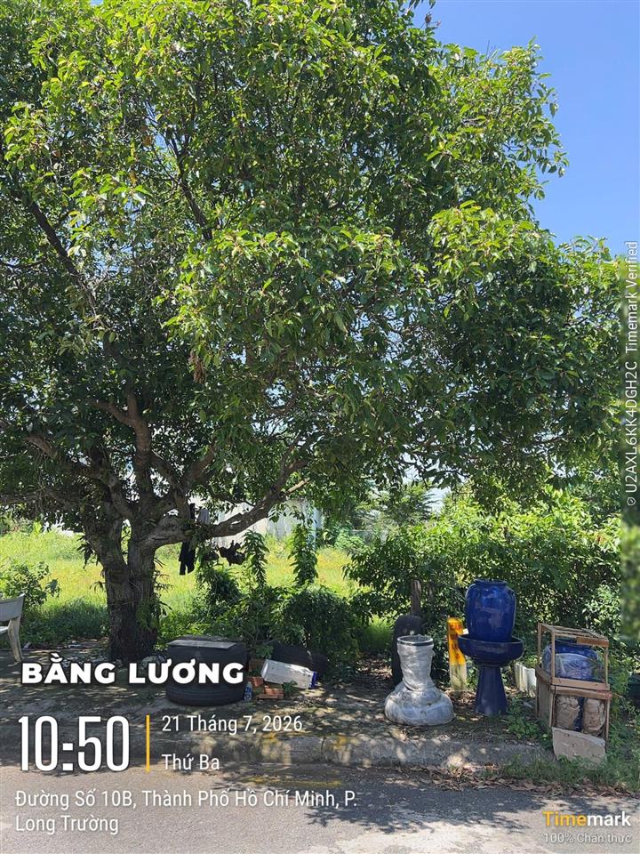 Bán đất nền dự án tại liên phường, mẫu giáo trung ương 3, giá 65tr/m2