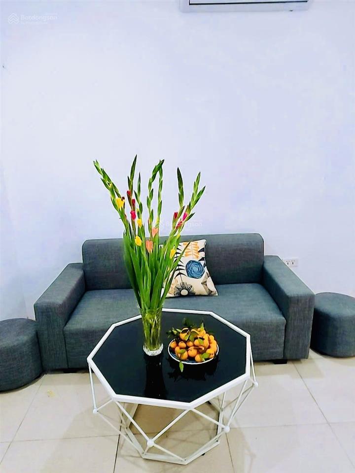 Gia đình bán nhanh căn 48m2, đầy đủ nội thất giá siêu rẻ chỉ 2,69 tỷ tòa ruby city ct3 phúc lợi