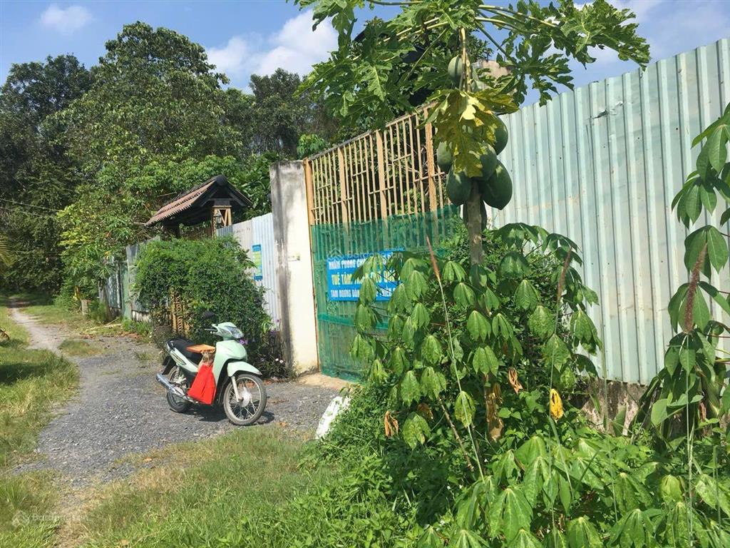 Chính chỉ bán lô đất đẹp 2197m2 (29x76m) xã an nhơn tây, củ chi giá đầu tư 7.8 tỷ