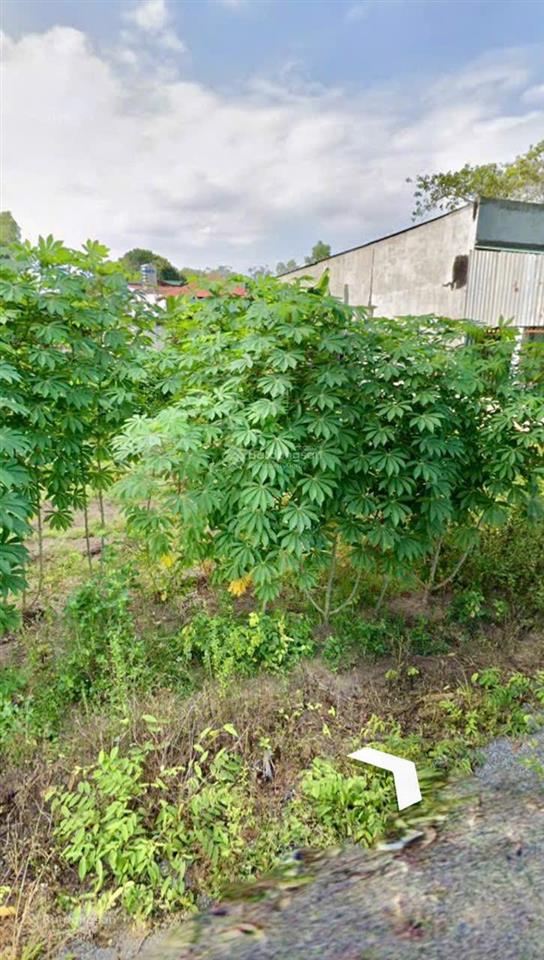 Lô đất đẹp 388m2 phước an, nhơn trạch, đồng nai chỉ 2.88 tỷ đầu tư tốt