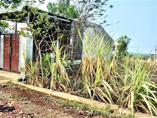 Bán lô đất đẹp (dt9.1x20m) khu dân cư qnbd 16 tân xuân, đồng xoài, bình phước.